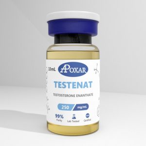 Testosterone Enanthate 250mg/ml - Apoxar 6 testosterone enanthate cycle