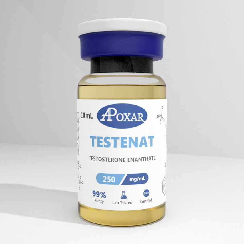 Testosterone Enanthate 250mg/ml - Apoxar 1 buy-testosterone-online-in-canada